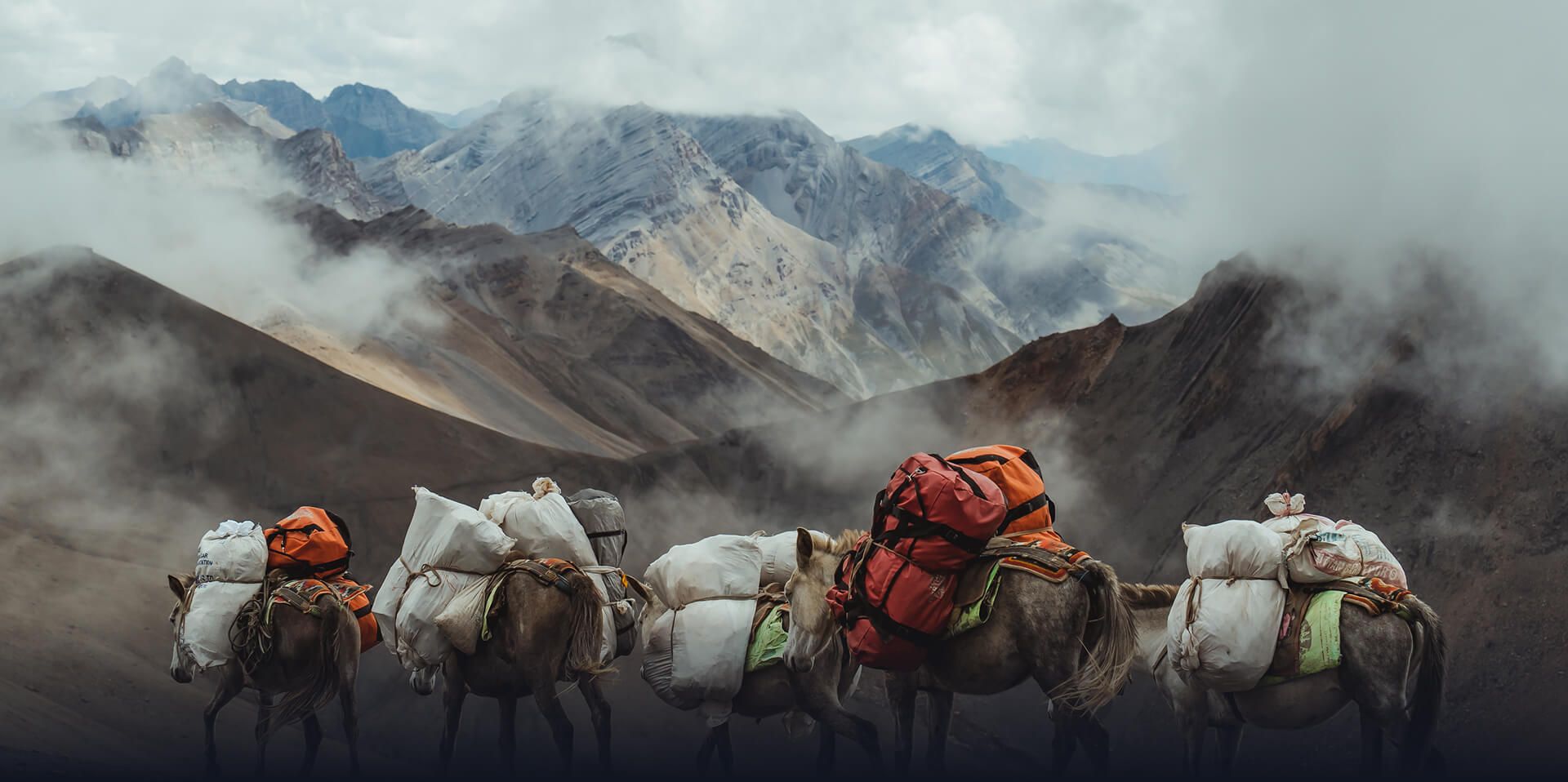 Landscape Mountains Donkeys