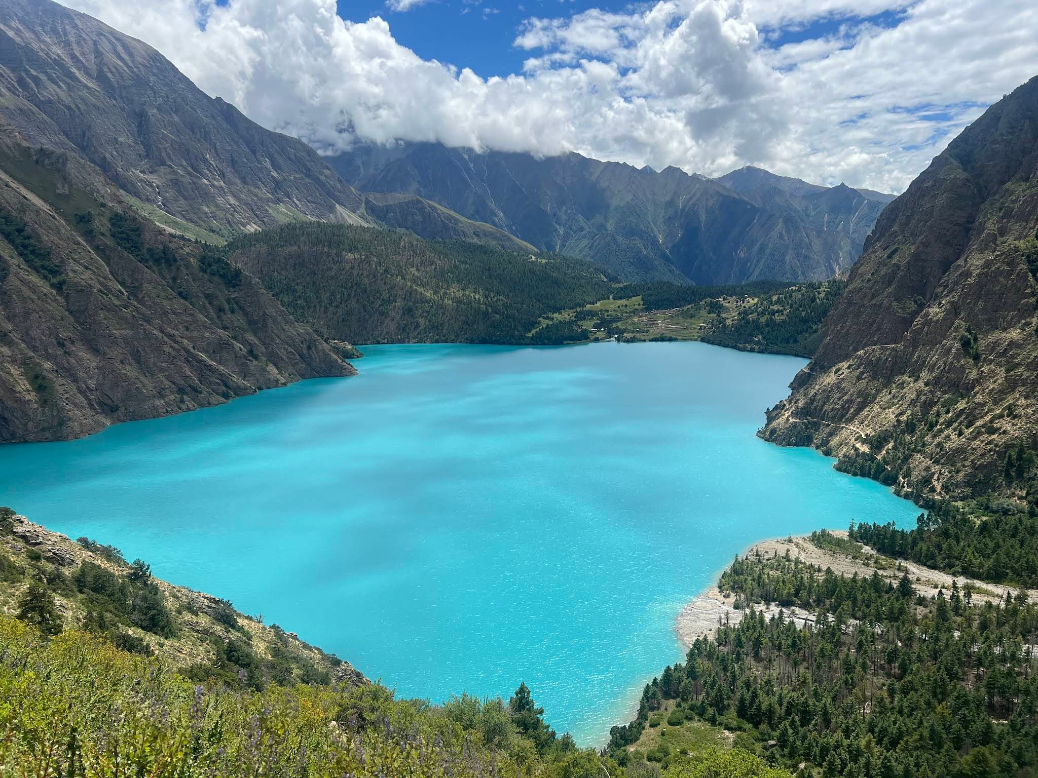 Hotel Viewpoint cover