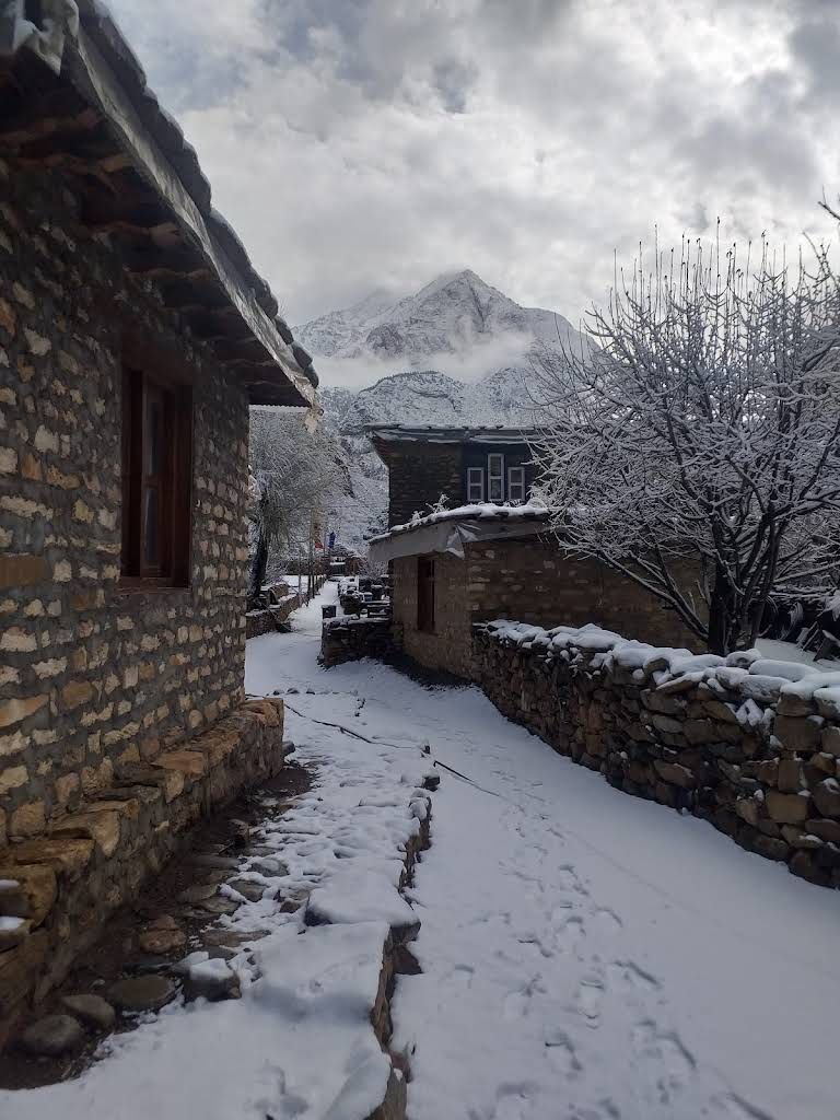 Hotel Jharana image 3