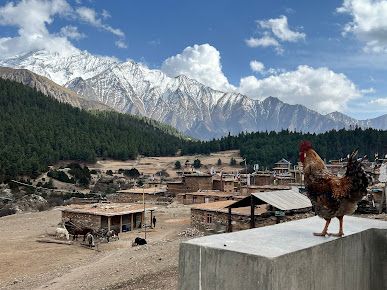 Mt. Kailash Guest House image 3