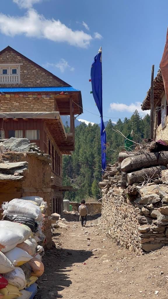 Phoksundo Sherpa Hotel image 5